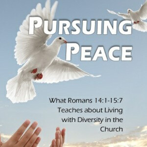 Pursuing Peace - 2 - Despising and Judging