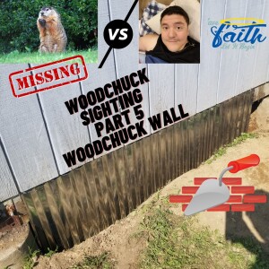 Woodchuck Sighting Part 5 ”Check out the Wall”