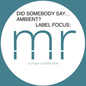Did Somebody Say...Ambient? Artist Focus: Episode 3: Momentarily Records