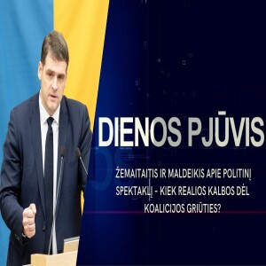 Žemaitaitis ir Maldeikis apie politinį spektaklį – ar koalicijos griūtis reali? | DIENOS PJŪVIS