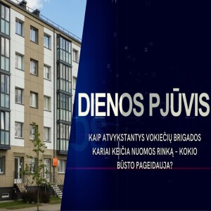 Kaip vokiečių brigados kariai keičia nuomos rinką – kokio būsto pageidauja? | DIENOS PJŪVIS