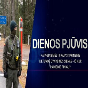 Kaip ginsimės ir kaip stiprinsim Lietuvos gynybines sienas – iš kur paimsime pinigų? | DIENOS PJŪVIS