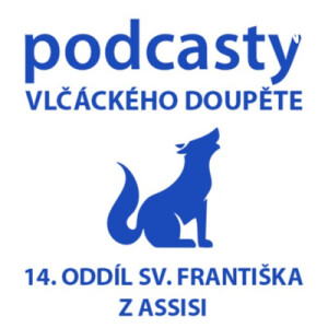 19. Skautské dovednosti – domácí práce