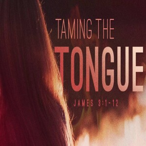 Taming the Tongue