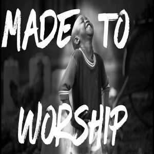 Made to Worship - Your Purpose in Life