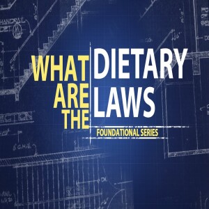 What Is Food?