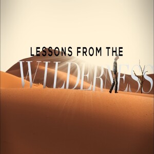 Lessons from the Wilderness