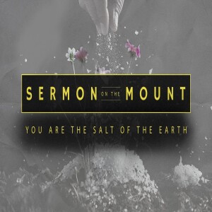 Sermon on the Mount - You are the Salt of the Earth • FOUNDED IN TRUTH