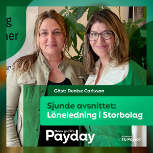 Löneledning i Storbolag