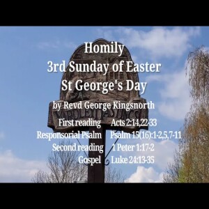 Homily for 3rd Sunday of Easter - 23rd April 2023