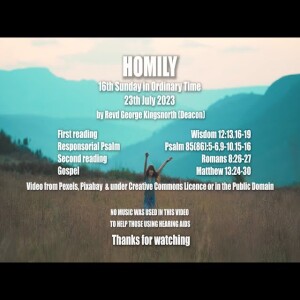 Homily 16th Sunday in Ordinary Time - Sunday 23rd July 2023