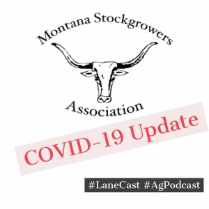 MT Stockgrowers COVID-19 Update