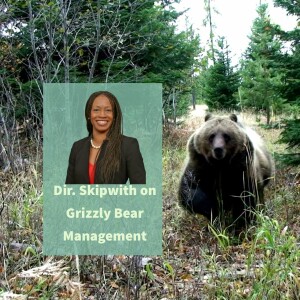 Managing Grizzly Bears Based on Science