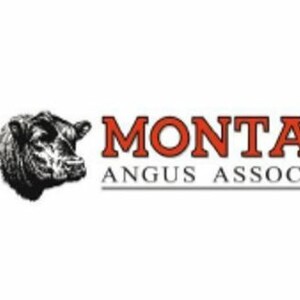 Show 39: Encourage & Enhance Collaboration In The Montana Beef Industry