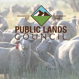 Show 32: 50 Years of Advocacy: Public Lands Council