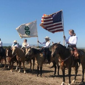 Show 35: Preserving the Heritage: 4-H Working Ranch Horse Finals