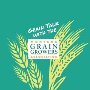 Grain Talk: Drought, Prices and Politics