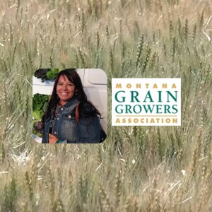Vergeront to join Montana Grain Growers