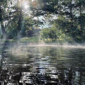 Klimatförändringarnas påverkan på skogen och lövskogsbruk