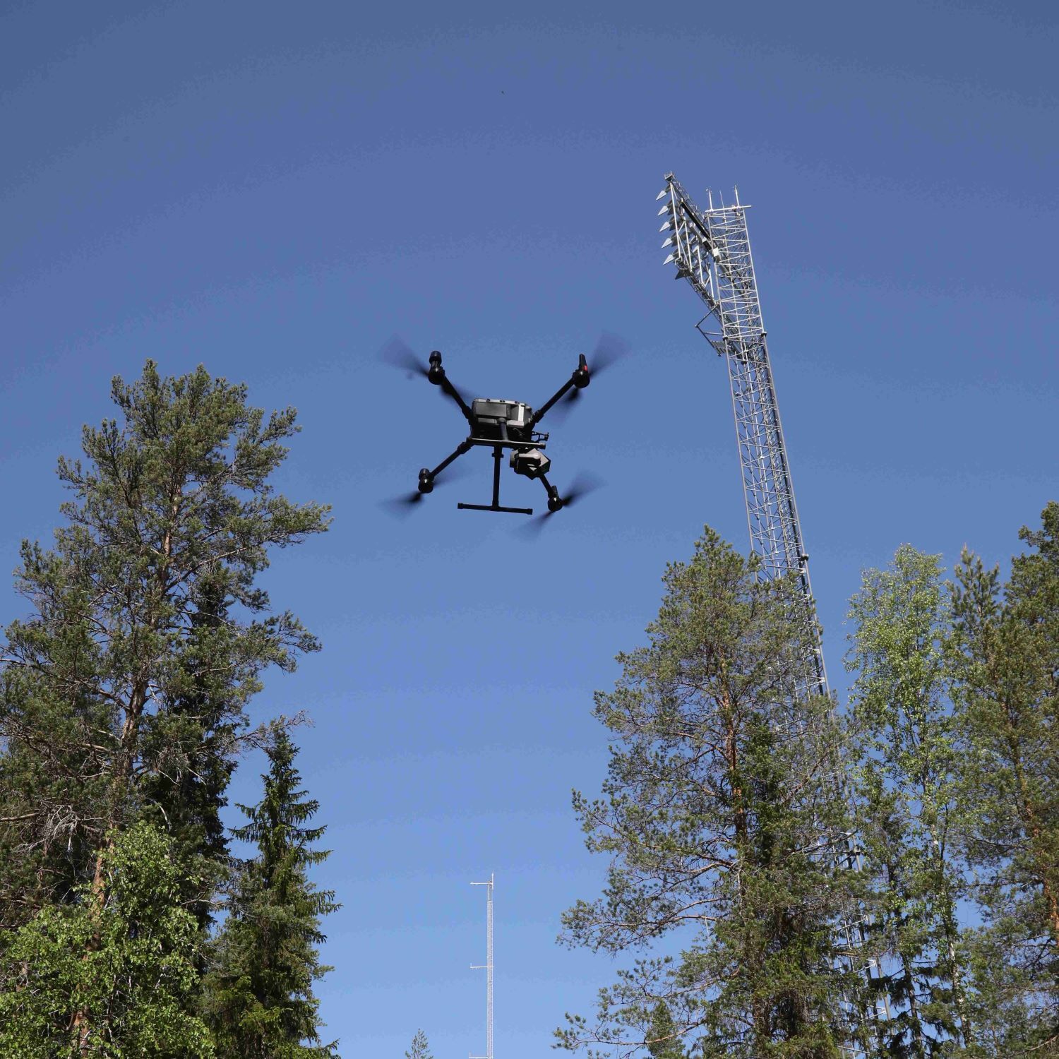 Skogen och klimatet - en podd från Skog och trä vid Linnéuniversitetet