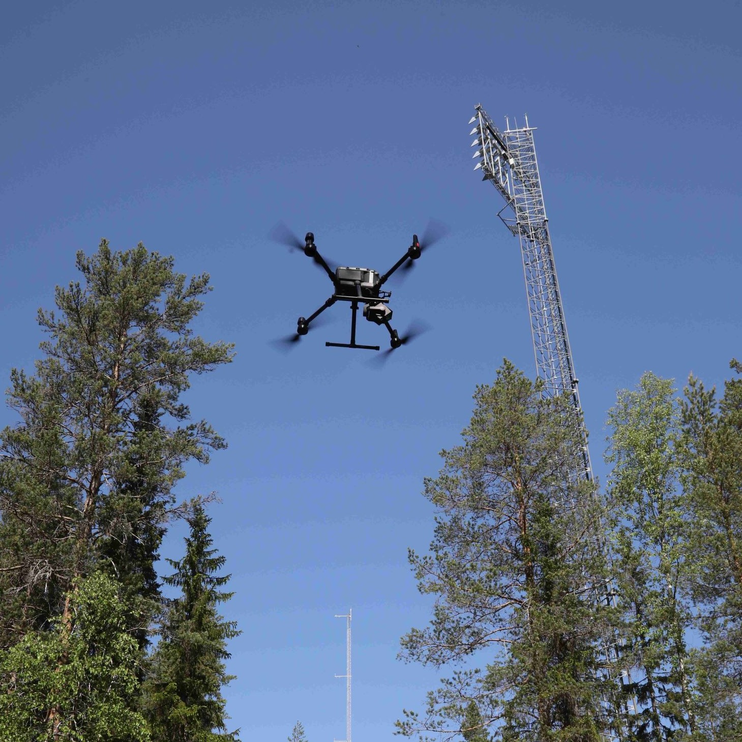 Skogen och klimatet - en podd från Skog och trä vid Linnéuniversitetet