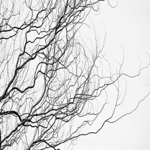 The Human Mind: Me, Myself and I