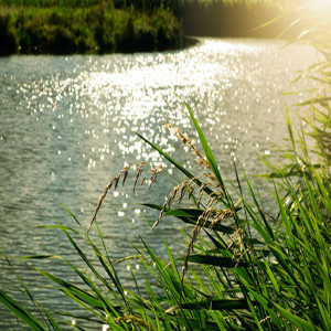 Earthly Purpose vs. Kingdom Purpose