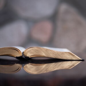 Agreement & Covenant (Part 2)