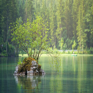 Implementing Spiritual Principles