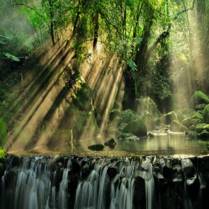 Strategy To Witnessing