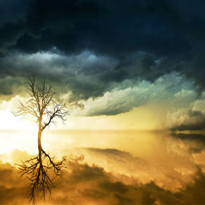 Witnessing To The Human Armor