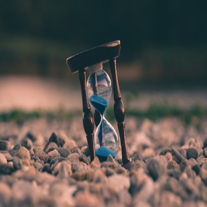 Witness Tools 1: Timeline