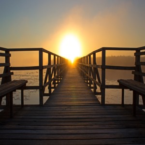 Perseverance By Vision