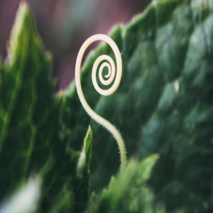 Grace: Through Time & Outside Of Time