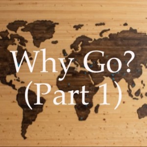 Why Go? (Part 1)