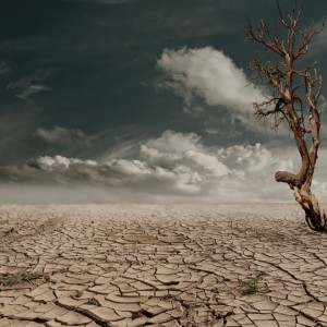 Commentary On Covid-19 Outbreak (2)