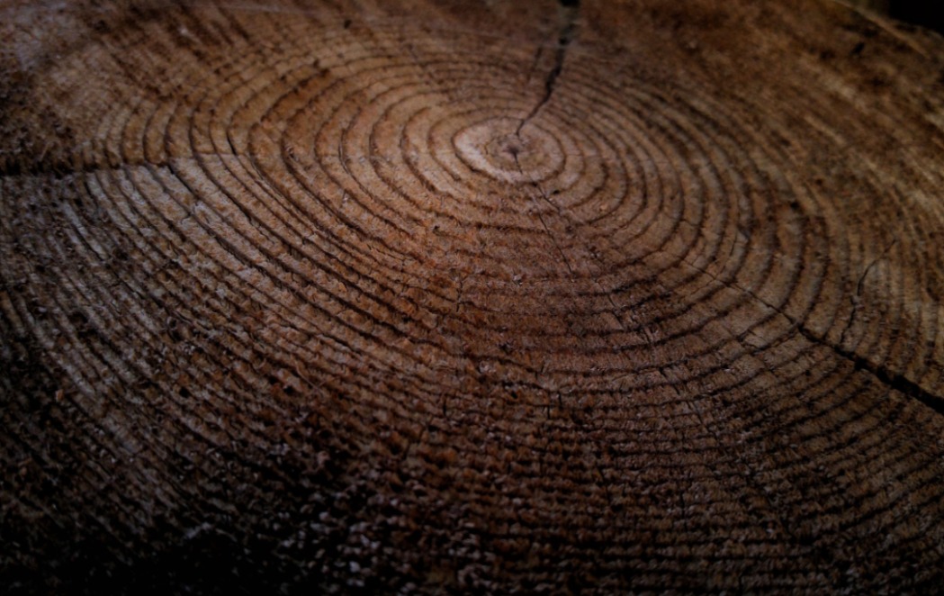 Unpacking Hebrews (Session 1): Part 2