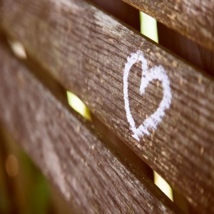 The Human Mind: The Heart