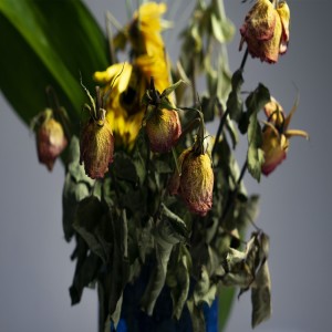 Dealing With Illness