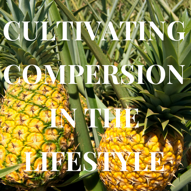 That Other Lifestyle - A Lifestyle Swinger Podcast