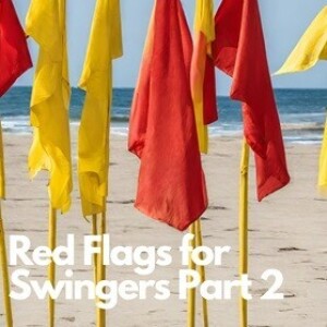 Red Flags for Swingers Part 2