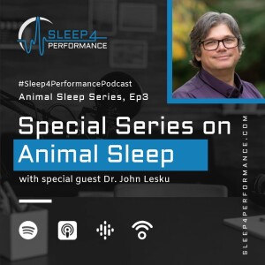 Animal Sleep Series EP03 w/ Dr. John Lesku on Animal Sleep