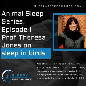 Animal Sleep Series, Episode 1 w Prof Theresa Jones on sleep in birds