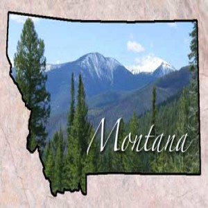 Tradition 12 - Montana Bob