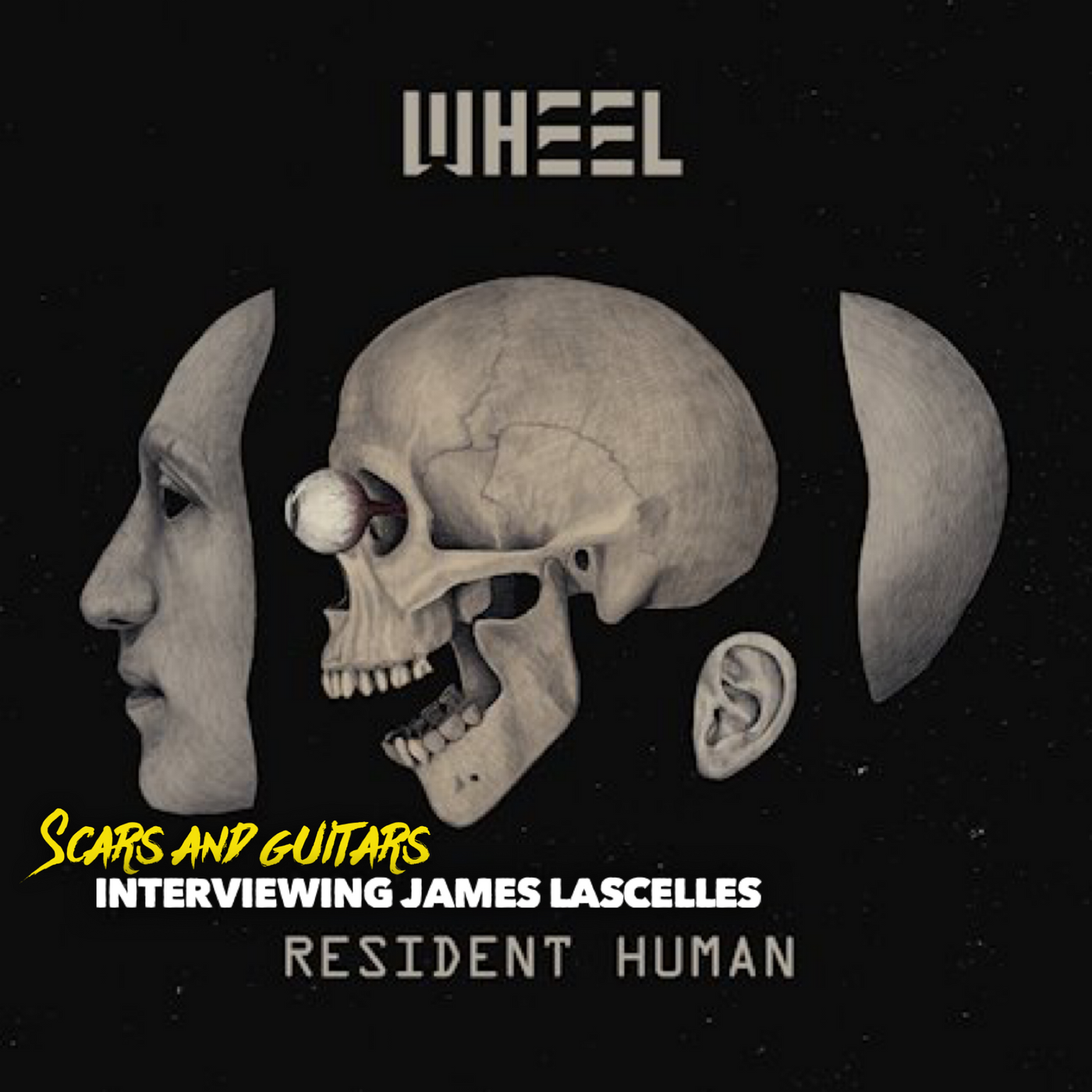 Scars and Guitars