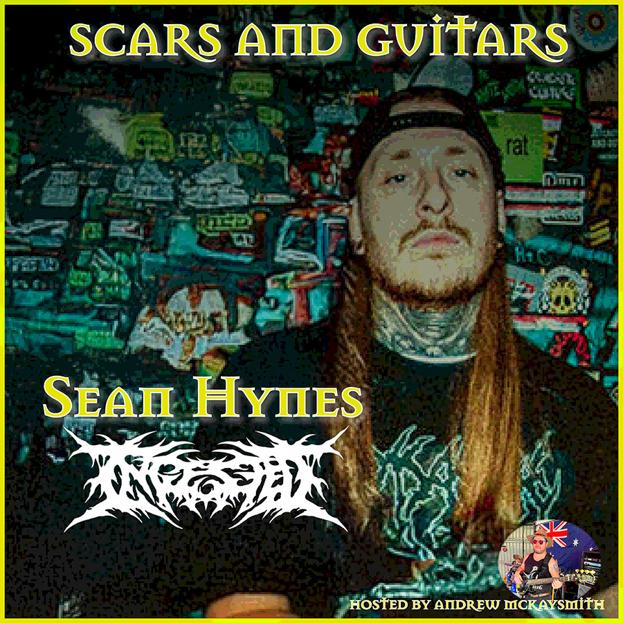 Scars and Guitars