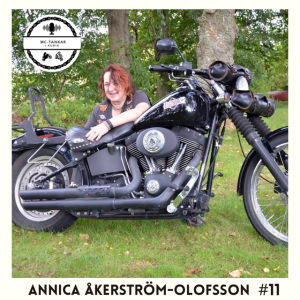 Bakom visiret - Annica Åkerström-Olofsson