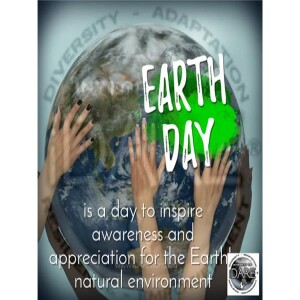 How Are You Promoting Sustainability during Earth Day?