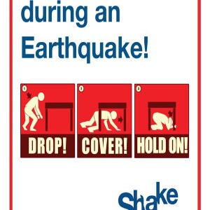 CERT Nicky Dare: Join us on Global ”ShakeOut” Drill on October 20 at 10:20am!