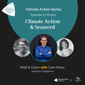 13. Climate Action & Seaweed